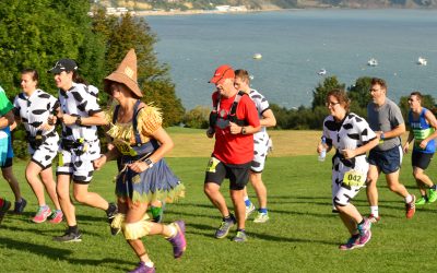 The Jurassic Coast Running Route: What to Expect on the Purbeck Marathon Course